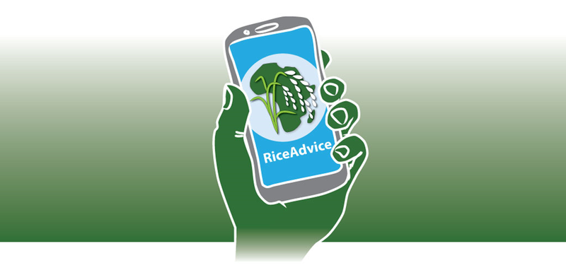 RiceAdvice-WeedManager app