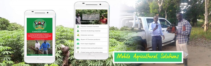 cassava app