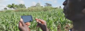 CTI Africa Life Mobile app Akorion-Youth-Village-Agent-Records-Crop-Growth-Using-A-Smartphone-Web-Size-e1497467134321