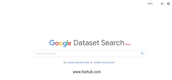 Dataset Search Engine